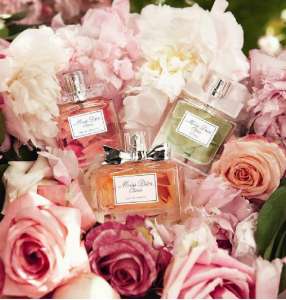 ����, ��������������� � ��������� ���� ��������� �������. ��������� - ����������