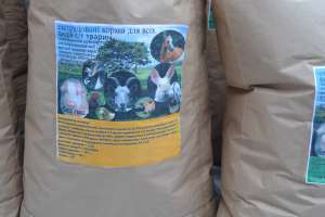 ���� ���������������� - ����������