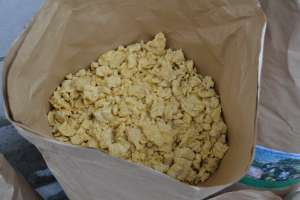 ���� ����������������