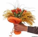 ���� �������-���������� 8 �����, ��� � �������-���������� �� ��������, �������-���������� �� 8 ����� ��������� - ����������