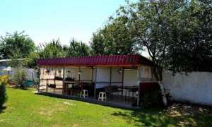 �����, 250 ��� ������� +����������+���������� ���� � ��� ������ �����