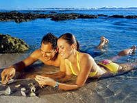 ����� � ����� - ����������