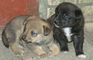 ����� � ����� � ������� ����! 1 ���. - ����������