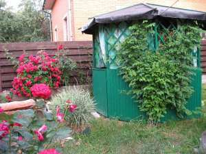 ����� � ������� ���� ��� 4 ������� - ����������