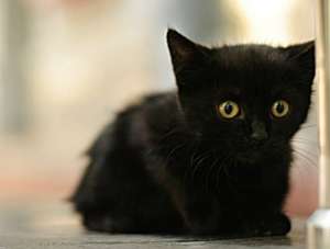 ����� � ������� ���� ���� ������ �����! �������! 2 ������ - ����������