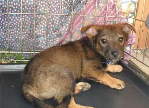 ����� � ������� ���� ����� �������! ������� 3 ������ - ����������