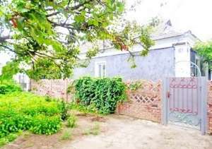 ����� � ��������� - ����������