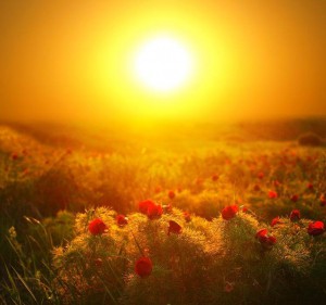 ����� �� ���� ����� ������� � ������� - ����������