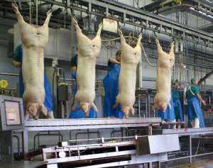 ����� �� ���� ������ � ��� - ����������