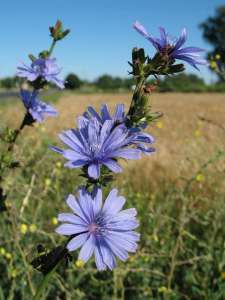 ����� �� ����, �������� �� ������ - ����������