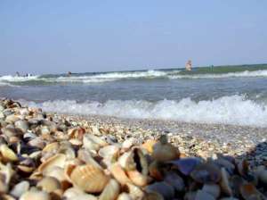 ����� �� �������� ����