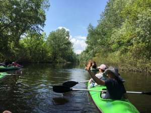 ����� �� ��������� �� ���� ����� - ����������