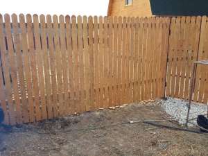 ����� �� ���������� � ����� �������� ������ �������!