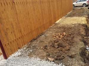 ����� �� ���������� � ����� �������� ������ �������!