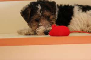 ����� �� ����������� �� ���������