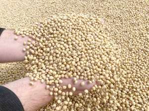 ����� ��� � ����, ������, ���������. - ����������