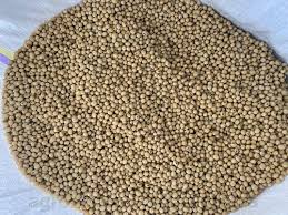 ����� ��� � ����, �����������, ��������� - ����������