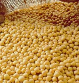 ����� ��� � ����-���� ���������