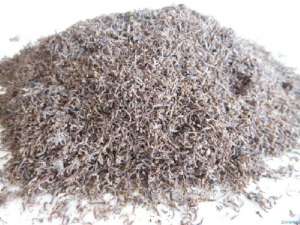 ����� ��� ���