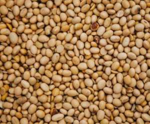 ����� ���. ����� ��������� �� - ����������