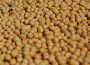 ����� ���. ����� ��������� ��. - ����������