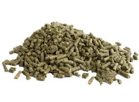 ����� ��� ������� - ����������