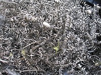 ����� ��� ������� ����� ���� 3500 ��� �� 1 ����� - ����������