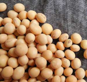 ����� ���, ��������� �� - ����������