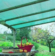 ����� ��� ��������� ������