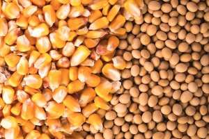 ����� ��� ���������, ��������� ������������. �������� - ����������