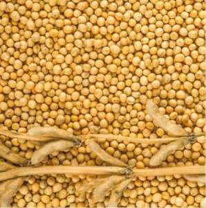 ����� ���. ���������� �� ����� - ����������