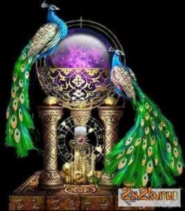 ����� ���, ����������, ��������� �������� ������ � ������� ����� ������� ��� ��� ����� 12 ��� � ������� ����� ���������� � ������  - ����������