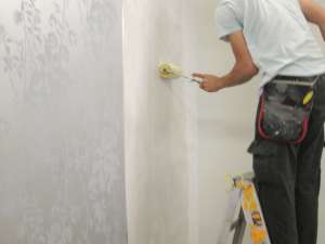 ����� ���� 25 ��� - ����������