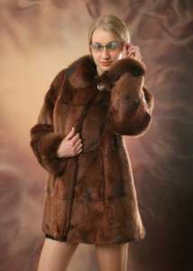 ����� ����