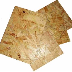 ����� ����