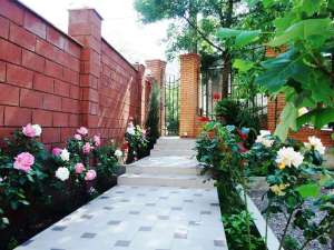 ����� " ����"