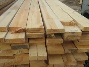 ����� ���� ����� ������