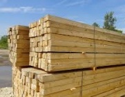 �����, ����, ����� �������� ����� 1 ����! - ����������