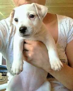 ����� ���� ������