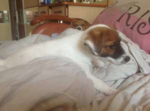 ����� ���� ������