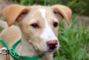 ����� ����, �������, �������, 3 ������, ���� ��� !!! - ����������