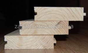 ����� ���� ��������