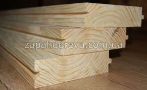 ����� ���� ����������