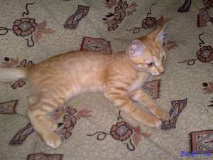 ����� ����� � ������ ����!