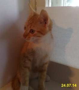 ����� ����� � ������ ����!