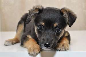 ����� ����� � ������� ����! - ����������