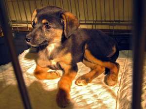 ����� ����� � ������� ����!