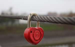 ����� ����� � ������������ �������� ���������� ������������ ����� - ����������