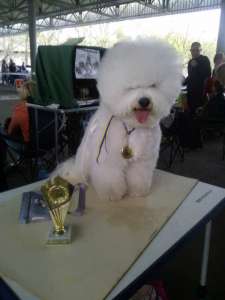 ����� �����. ����� �� ������� ��������������. - ����������