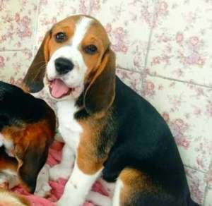 ����� ����� ����� �������� (� ������� �����������. 2 ������. ������